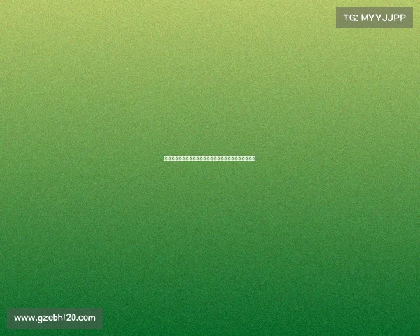 西甲中文解说全解析：深入了解西甲赛事背后的故事与魅力